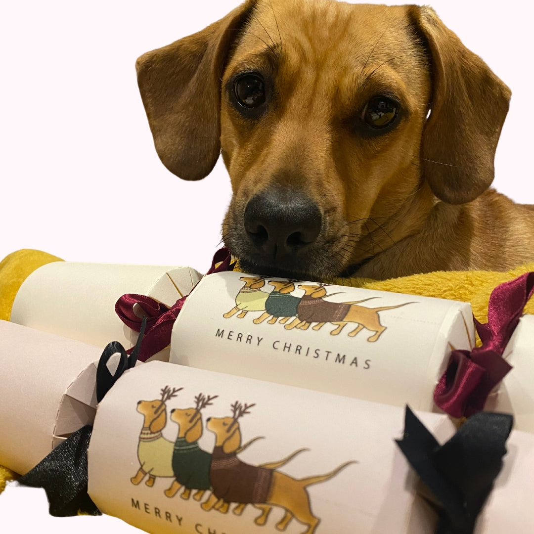 Personalised Christmas Crackers Kit for Sausage Dog Lovers