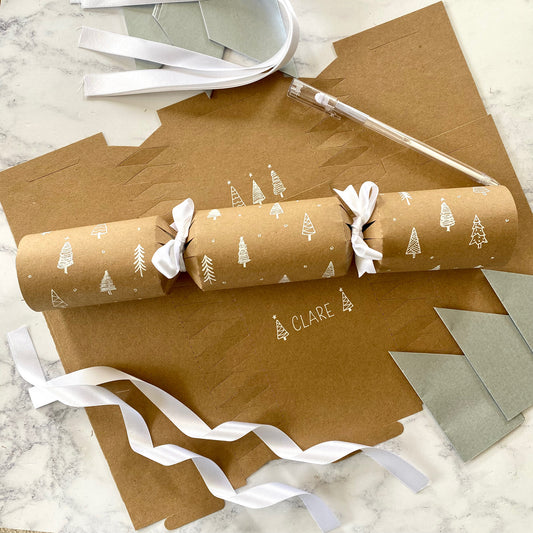 Kraft Christmas Cracker Craft Kit